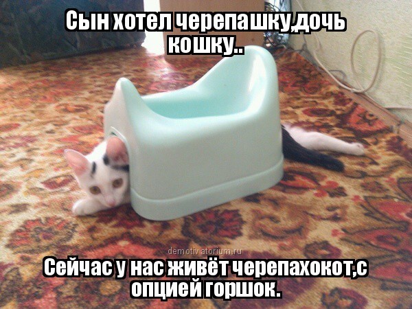 Котюня моя..