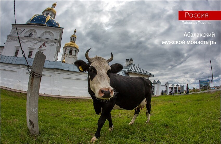 Абалакский мужской монастырь