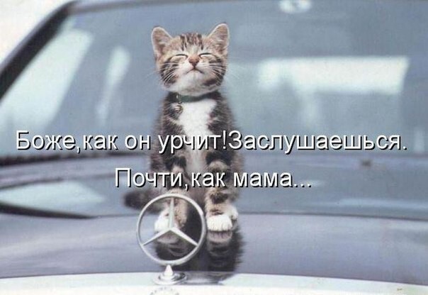 Немного автоприколов