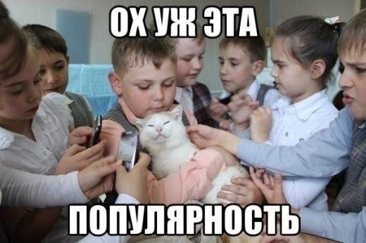 Пост воскресного котэ