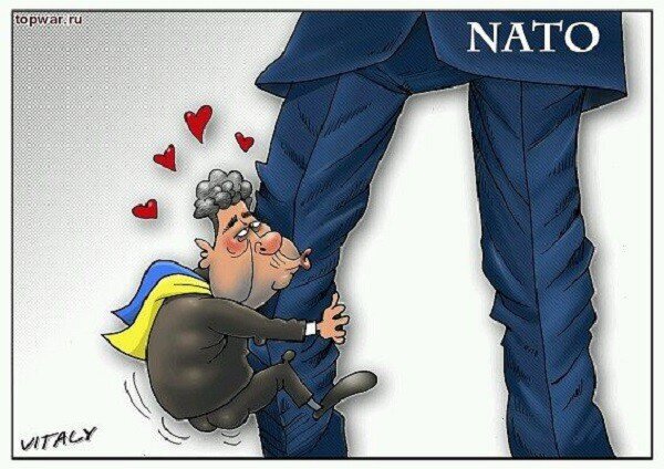 Порошенко опять просит у США оружия.