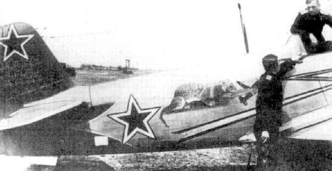 Рисунки на Советских самолетах