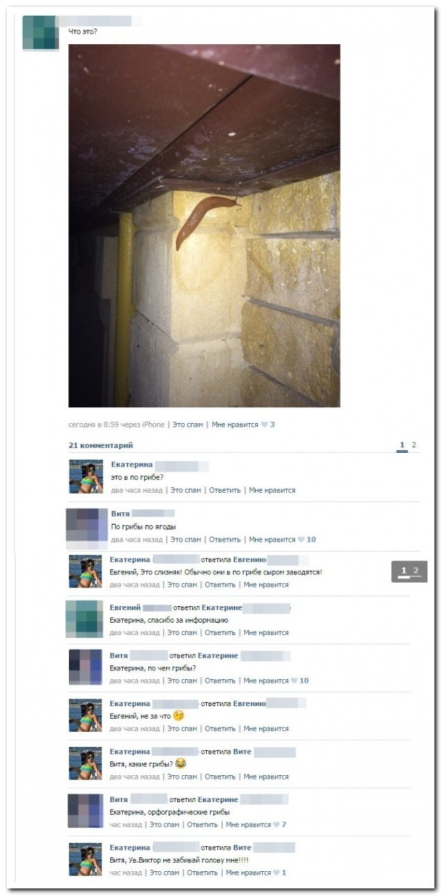 Прикольные комменты из соцсетей