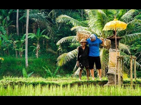 Там, где начинается рай: чудеса на Бали в разрешении 4K  