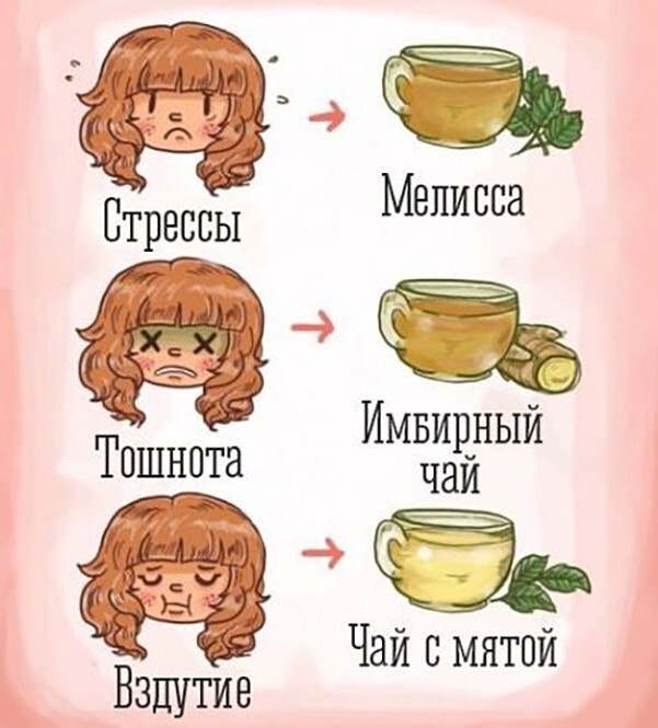 Какой пить чай при недомоганиях