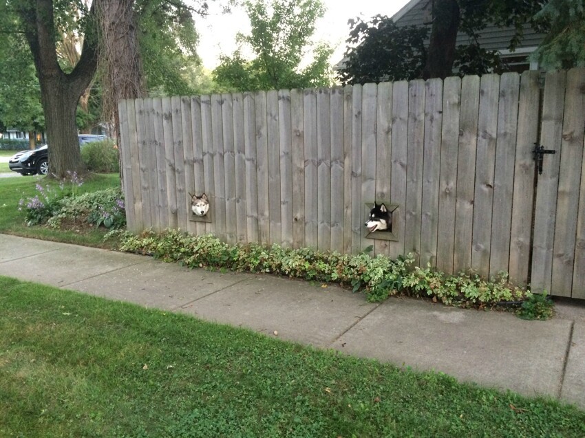 Окошки в заборе