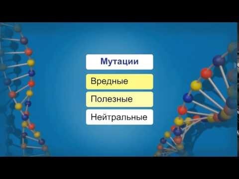 Что такое селекция и почему ей пора в отставку