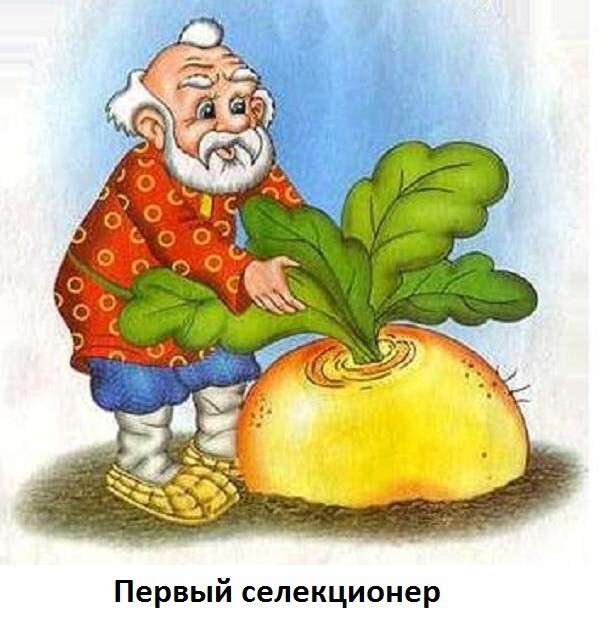 С чего всё началось