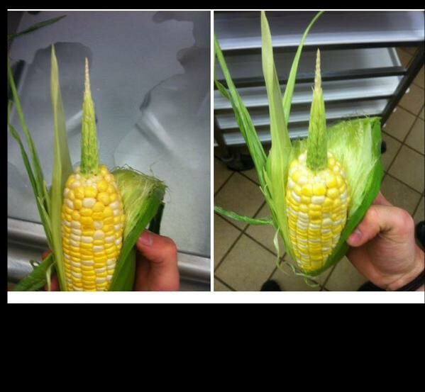 Вот такая кукуруза