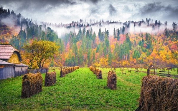 Фотографии, на которых осень фантастически прекрасна