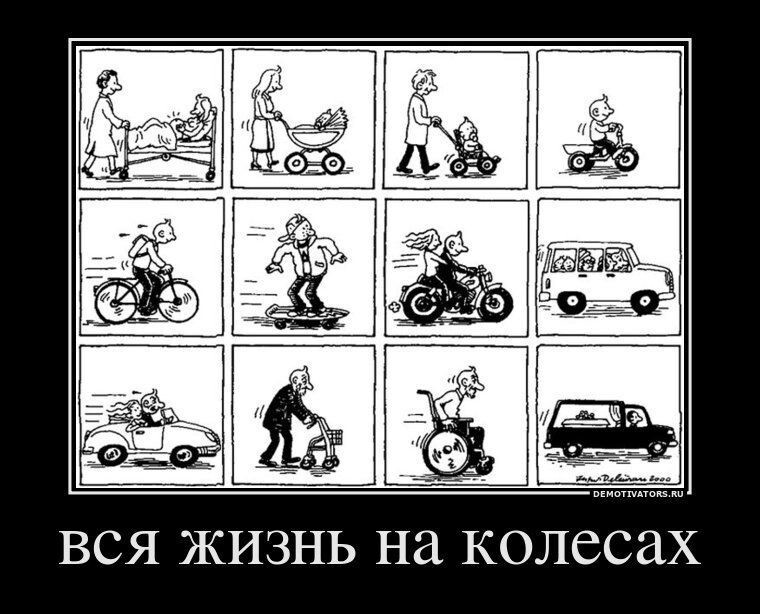 Демотиваторы