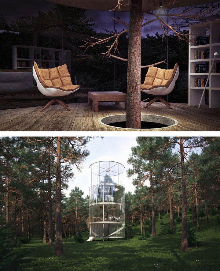 Цилиндрический стеклянный дом, построенный вокруг дерева