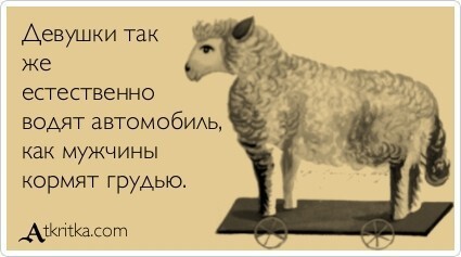 Автомобилисты шутят