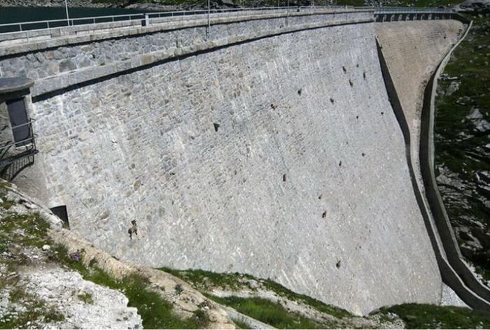 Горные козлы на плотине электростанции Чингино, Италия.
