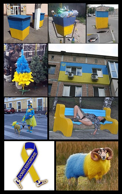 Жительница Киева  покрасила собаку в желто-синий цвет! Больные люди!