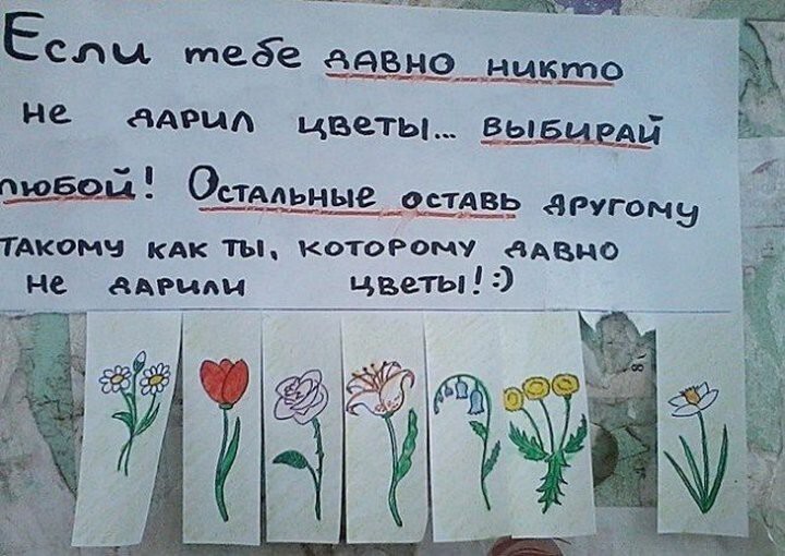 Прикольные надписи, которые развеселят кого угодно 