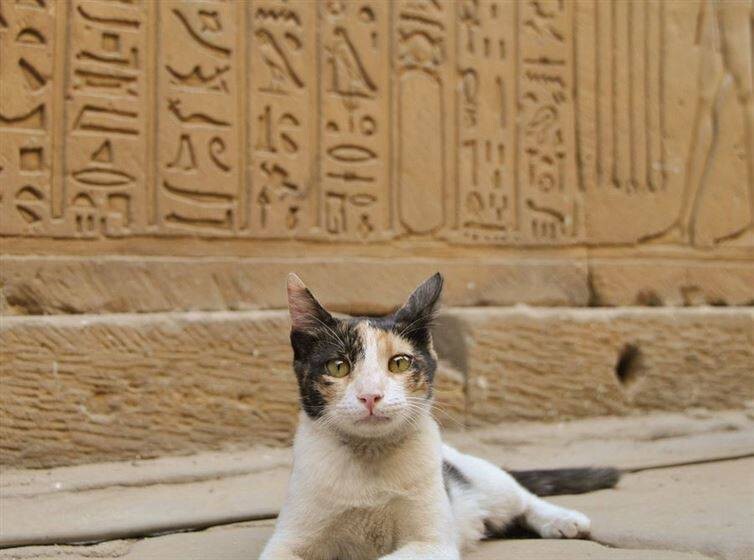 20. Стена иероглифов, Египет 