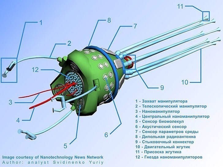 8. Нанороботы сегодня: схематическое изображение