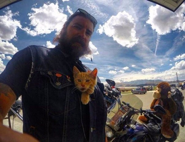 Байкер спас котенка и отправился путешествовать с ним