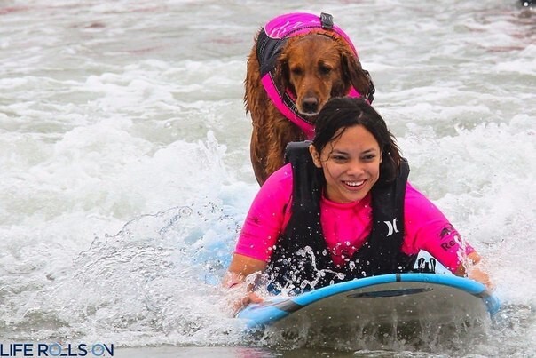 Первая и единственная в мире собака-серфер