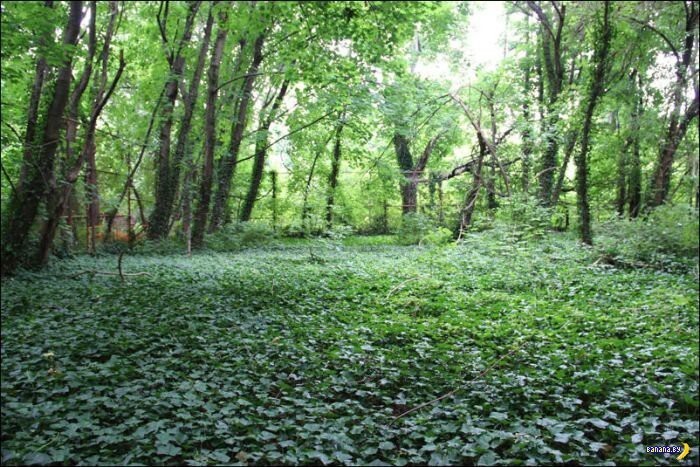  Тайны и загадки North Brother Island