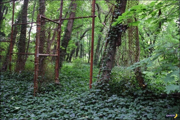  Тайны и загадки North Brother Island