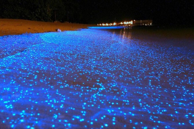 10. Биолюминисцентный пляж, Мальдивы