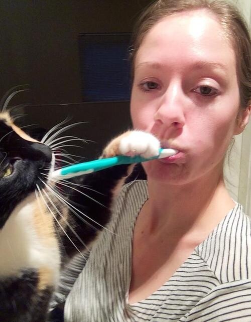 Тоже чистит зубы