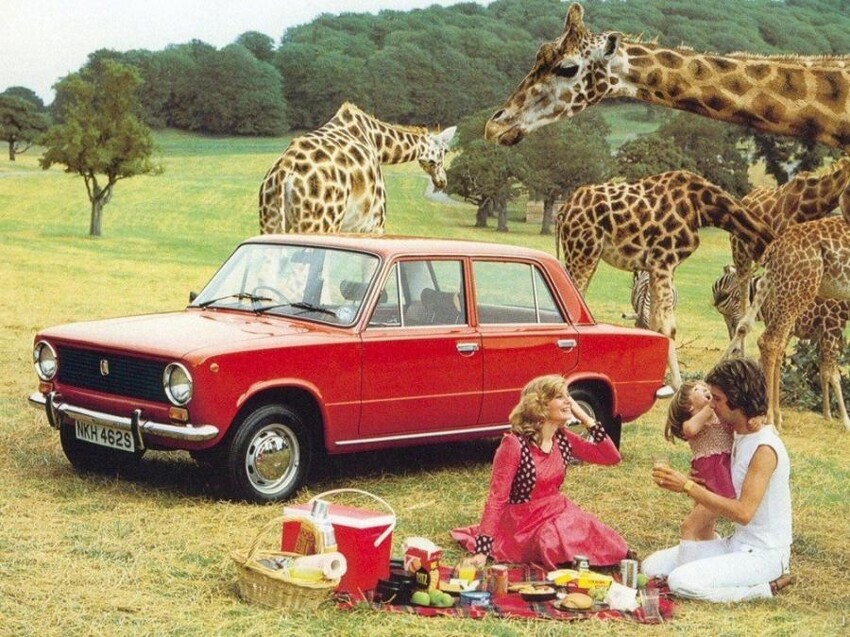 С Ладой Вам гарантирован пикник среди жирафов.