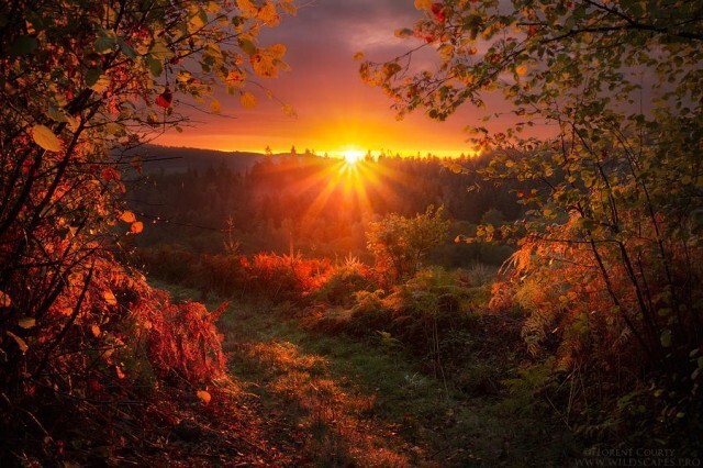 Река Луара, Франция. Фотограф Florent Courty