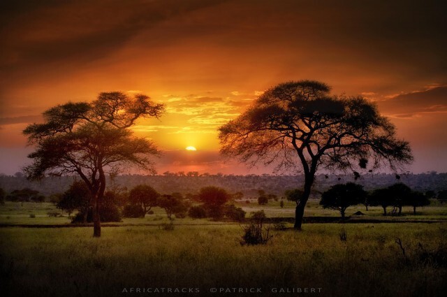 Танзания. Фотограф Patrick Galibert