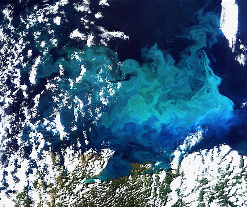 3. Скопление планктона в Индийском океане 