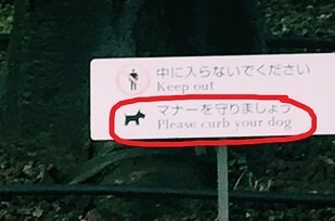 3. Собаку в Японии, видимо, можно "взнуздать" (to curb).