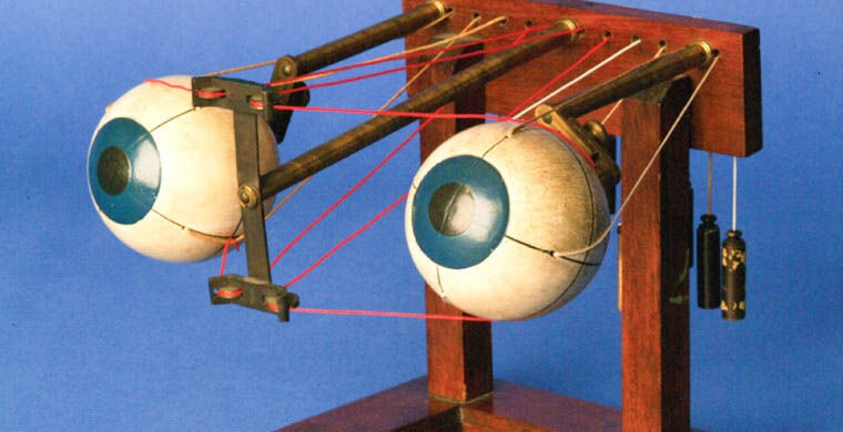 3. Это офтальмотроп — прибор, наглядно демонстрирующий движения глаза и структуру всей зрительной системы в организме человека 