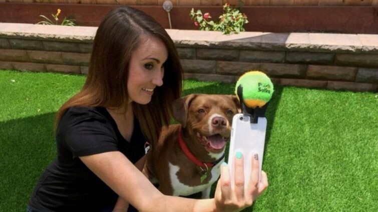Ведь теперь существует «Pooch Selfie» — держатель теннисного мяча, который крепится на смартфон