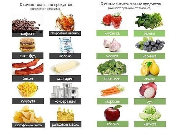 Немного о питании и пищеварении