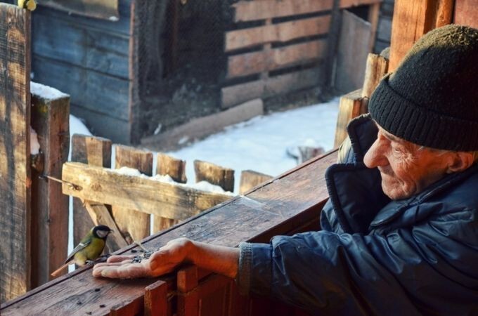 6. Сколько добра в одной фотографии!