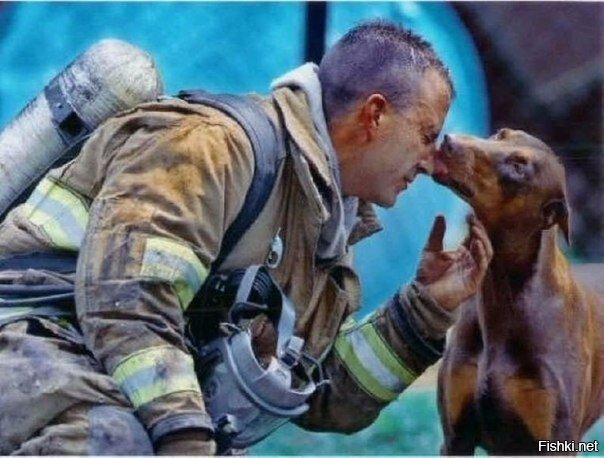 Собака благодарит пожарного после того, как он спас ее щенков