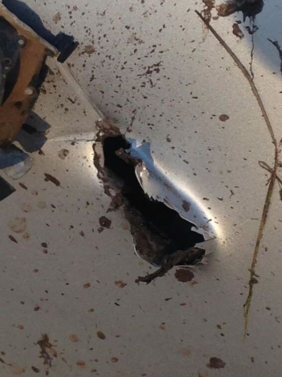 После столкновения с машиной, лось оставил дыру в двери