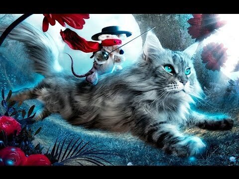 Приколы с котами #3  