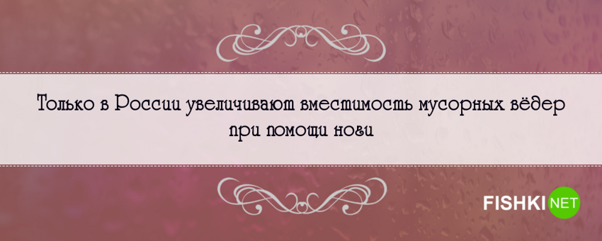 Правдивые на 146% фразы о России