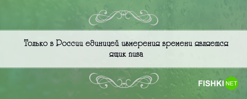 Правдивые на 146% фразы о России