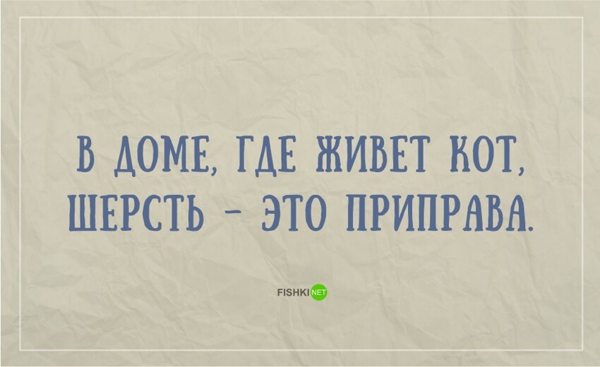 21 жизненная открытка для отличного настроения