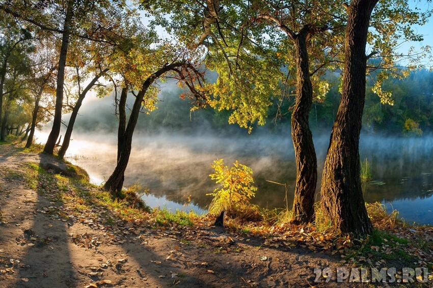 Времена года – осень