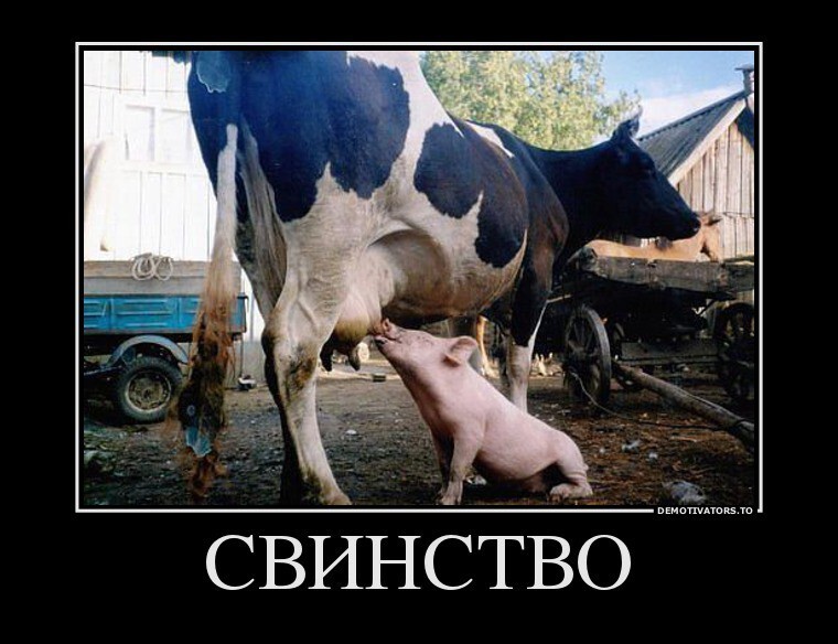 Хунта в возмущении 