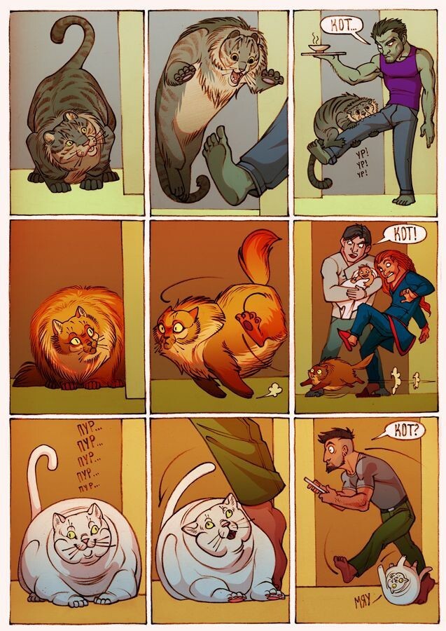 Смешные комиксы, которые поймут те, у кого есть кот