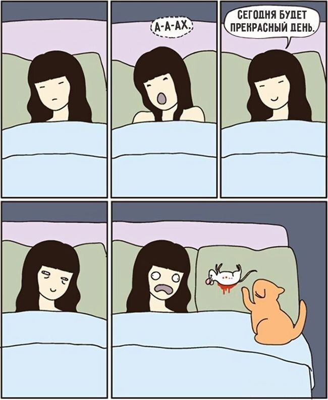 Смешные комиксы, которые поймут те, у кого есть кот