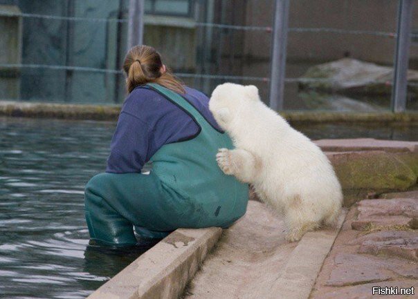 Белый мишка Флоки обнимает сотрудника зоопарка Стэфани Крюгер