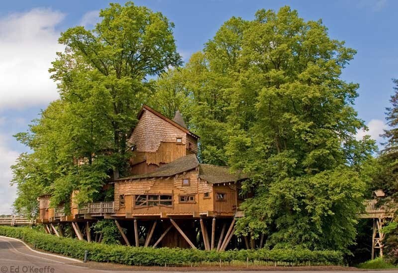14. Алникский дом на дереве, цена: $ 6 млн