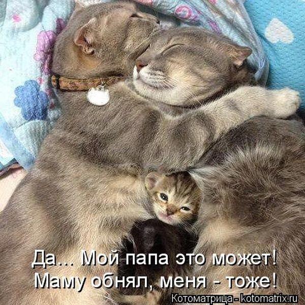 Котомикс